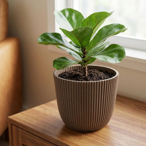 Capi Nature Groove Pot - Warm Taupe